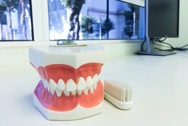 Teeth Dentistry Oral Hygiene Tooth Model