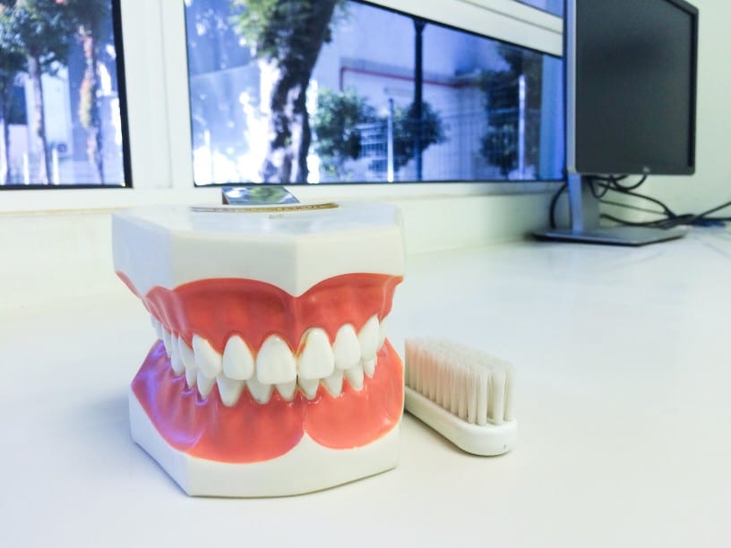 Teeth Dentistry Oral Hygiene Tooth Model